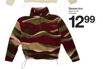 Zeeman Dames trui aanbieding