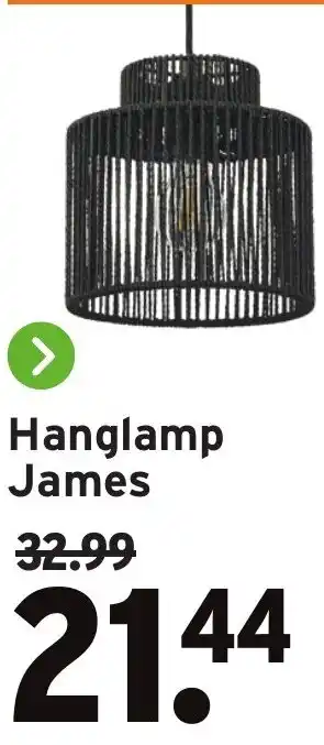GAMMA Hanglamp James aanbieding