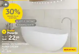 Praxis Wand en vloertegel flora cream aanbieding
