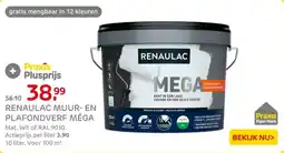Praxis Renaulac muur- en plafondverf méga aanbieding