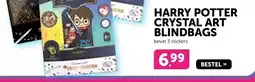 Boekenvoordeel HARRY POTTER CRYSTAL ART BLINDBAGS aanbieding