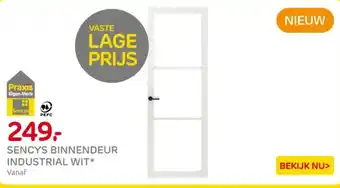 Praxis Sencys Binnendeur Industrial Wit aanbieding