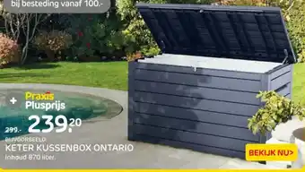 Praxis Keter Kussenbox Ontario aanbieding