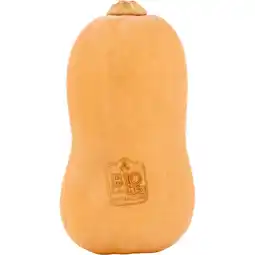 Jumbo Jumbo Biologische Pompoen aanbieding