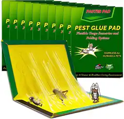Amazon Kakkerlak Lijm - 31,5 cm x 21 cm Lijmval, 10 Stuks Lijmvallen aanbieding