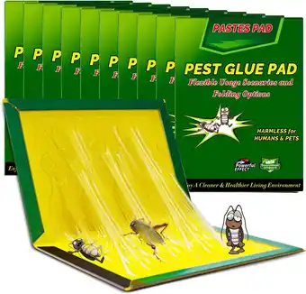Amazon Kakkerlak Lijm - 31,5 cm x 21 cm Lijmval, 10 Stuks Lijmvallen aanbieding