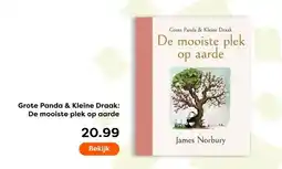 The Read Shop Grote Panda & Kleine Draak: De mooiste plek op aarde aanbieding