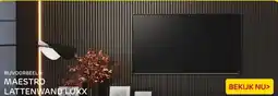 Praxis MAESTRO LATT LATTENWAND WAVE aanbieding