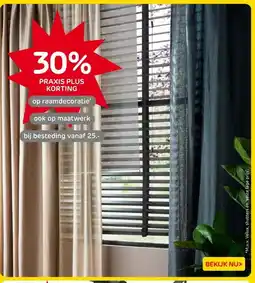 Praxis raamdecoratie aanbieding