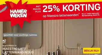 Praxis MAESTRO LATT LATTENWAND NOVO aanbieding