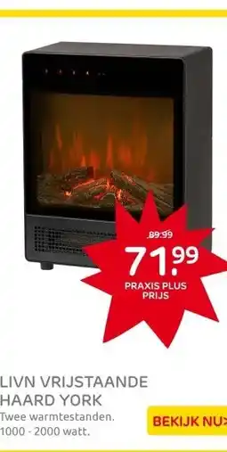 Praxis Livn vrijstaande haard York aanbieding