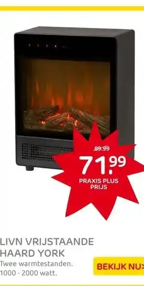 Praxis Livn vrijstaande haard York aanbieding