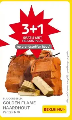 Praxis GOLDEN FLAME HAARDHOUT aanbieding