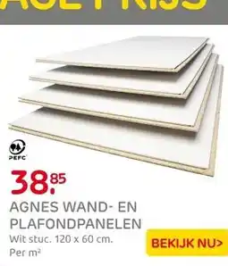Praxis Agnes wand-en plafondplaat T&G 4-z wit aanbieding