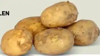 Ekoplaza CONNECT AARDAPPELEN aanbieding