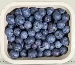 Ekoplaza BLAUWE BESSEN aanbieding
