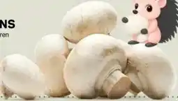 Ekoplaza WITTE CHAMPIGNONS aanbieding