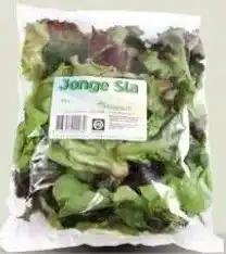 Ekoplaza Klispoel JONGE SLA aanbieding