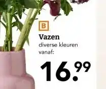 Blokker Vazen aanbieding