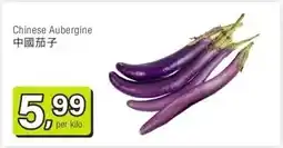 Amazing Oriëntal Chinese Aubergine 中國茄子 aanbieding