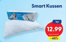 Die Grenze Smart Kussen aanbieding
