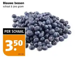 Poiesz Blauwe bessen aanbieding