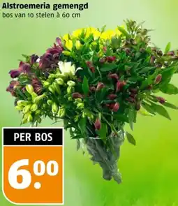 Poiesz Alstroemeria gemengd aanbieding