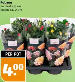 Poiesz Potroos aanbieding