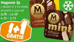 Poiesz Magnum ijs aanbieding