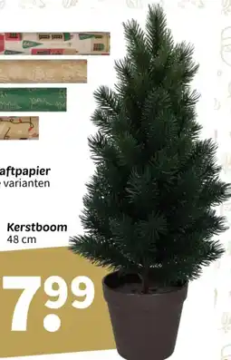 Wibra Kerstboom aanbieding