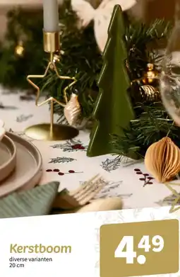 Wibra Kerstboom aanbieding