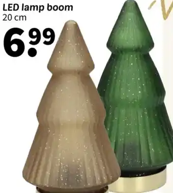 Wibra LED lamp boom aanbieding