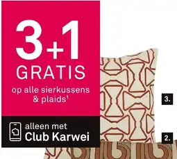 Karwei Kussen graphic strik aanbieding