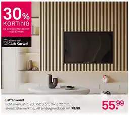 Karwei Lattenwand aanbieding
