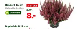 Welkoop Heide aanbieding