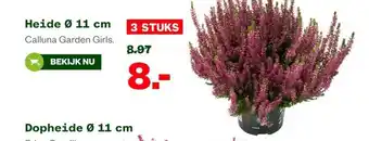 Welkoop Heide aanbieding