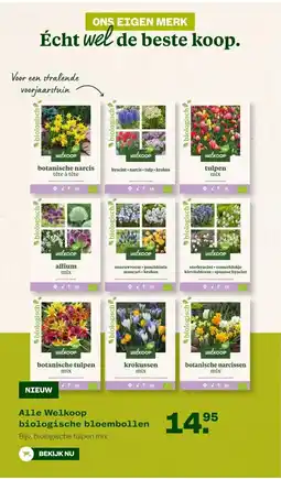 Welkoop Alle Welkoop biologische bloembollen aanbieding