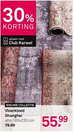 Karwei Vloerkleed Shanghai aanbieding