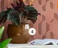 Intratuin Pot Maura. aanbieding