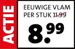 Intratuin EEUWIGE VLAM aanbieding