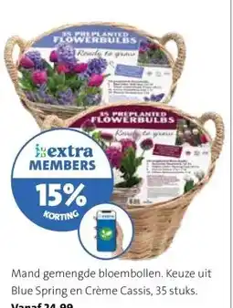 Intratuin Mand gemengde bloembollen. aanbieding