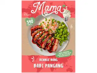Hoogvliet Mama s Babi pangang aanbieding