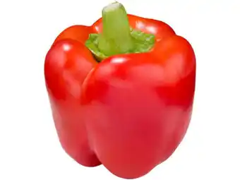 Hoogvliet Hoogvliet Hollandse rode paprika aanbieding