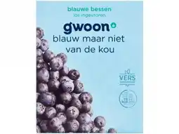 Hoogvliet G'woon Blauwe bessen aanbieding
