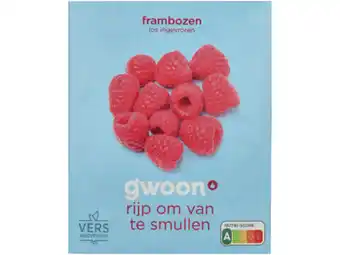 Hoogvliet G'woon Frambozen aanbieding