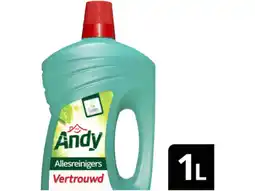 Hoogvliet Andy Allesreiniger vertrouwd aanbieding