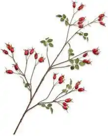 Intratuin Silk-ka kunstbloem Rozenbottel rood 95 cm aanbieding