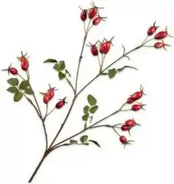 Intratuin Silk-Ka kunsttak Rozenbottel rood 67 cm aanbieding