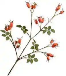 Intratuin Silk-Ka kunsttak Rozenbottel oranje 67 cm aanbieding