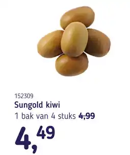 Van Hoeckel Sungold kiwi aanbieding